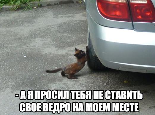 Всяко - разно...картинки
