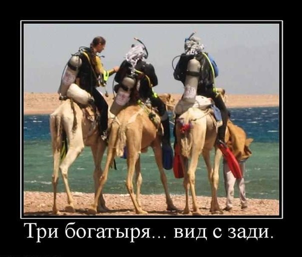 Три богатыря картинка прикол