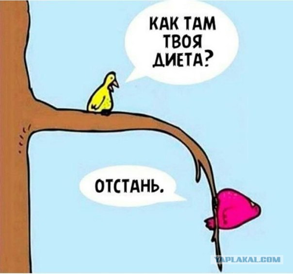Картинки из сети