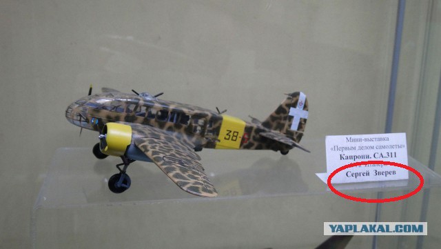 Тульские моделисты и немного моей коллекции