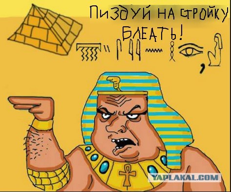 30 личных наблюдений