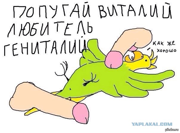 Жена изменяет? Или нет?