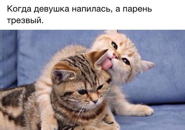 Предпраздничный маразм на предстоящую неделю