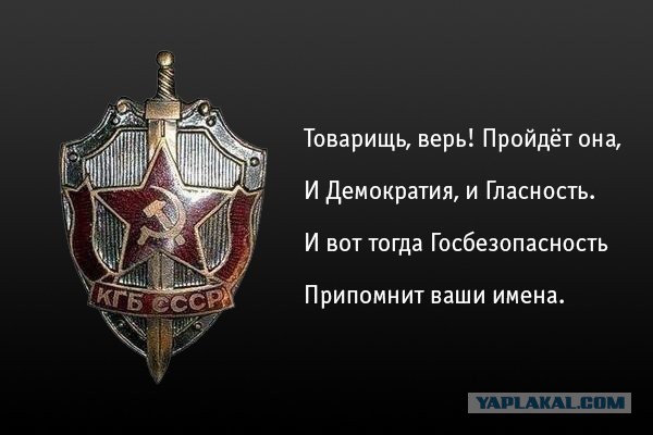 Смешные комментарии из социальных сетей 30.12.2016