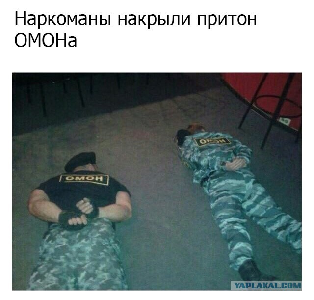 Картинки из интернетов
