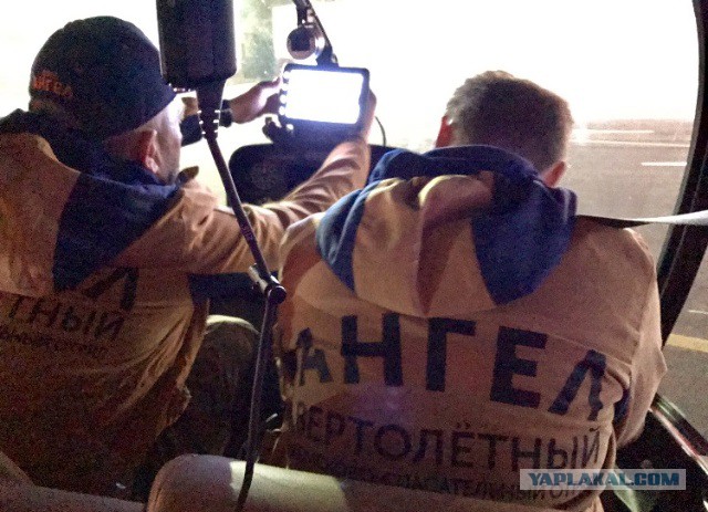 Волонтеры считают, что пропавшего в Ярославской области мальчика можно было спасти.