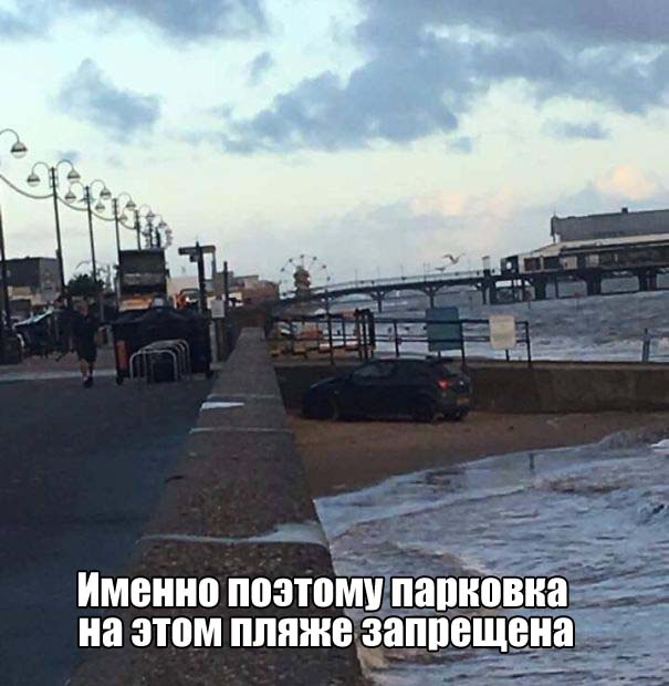Смешные картинки