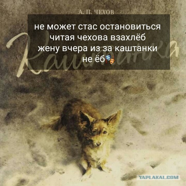 Приколы на любые темы