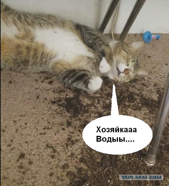 У кого-то была бурная ночь