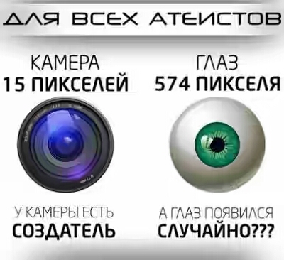 Спорные вопросы эволюции