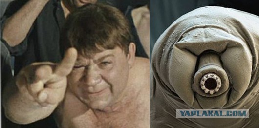 Каннибалы буквально рядом!