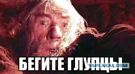 Самые известные мемы в истории Интернета