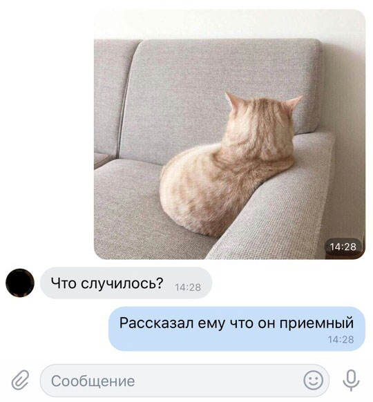 Чуток картинок! 26.12.19