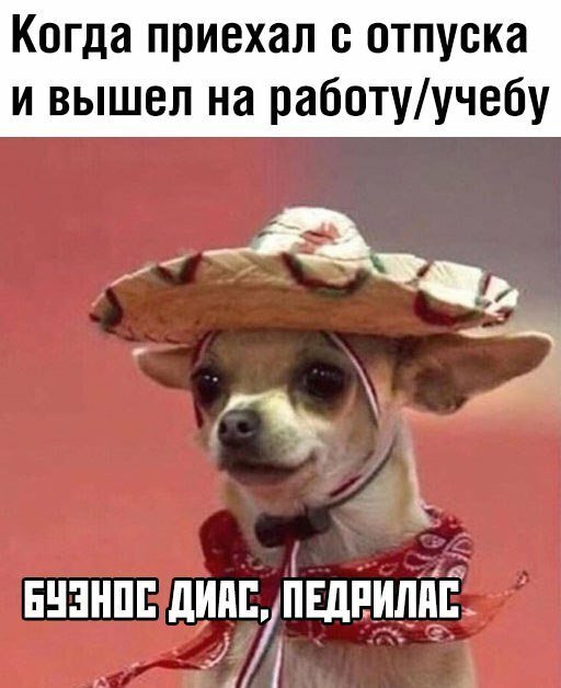 Пара-пара-пам! Фьють. Картинки с надписями