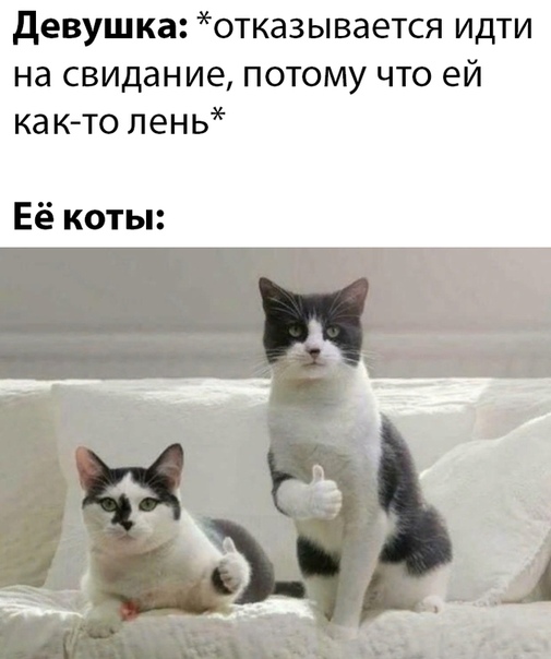 Бредзона 21.02.2020