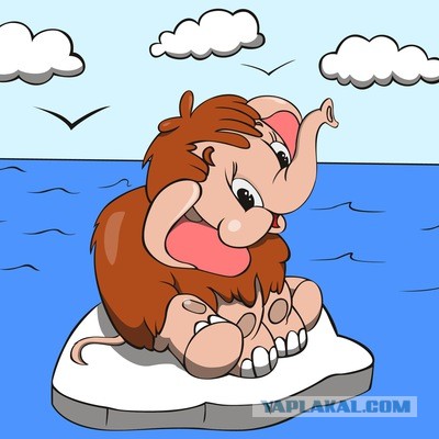 На Неве спасли дрейфующего на льдине нерпенка, над ним уже летали стаи ворон