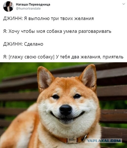 Бредзона 14.05.20
