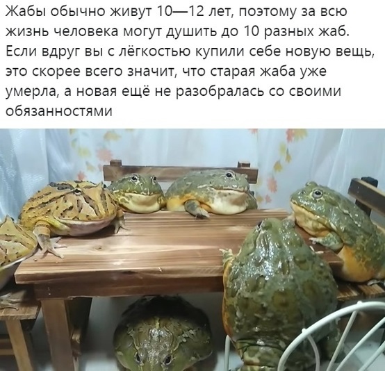 Немного картинок для настроения 15.05.20