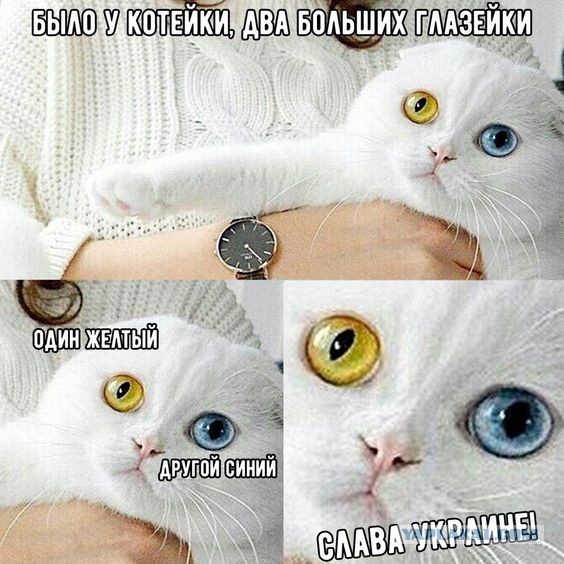 Мемы и картинки 27.07.2020