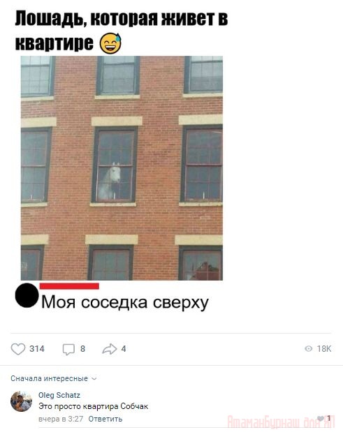 Комментарии к постам в разных группах, которые вызвали улыбку