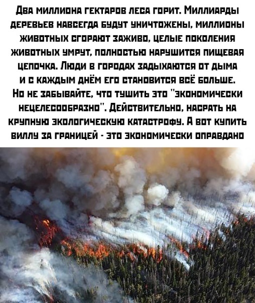 Одна их причин массовых пожаров в Сибири - умышленный поджог