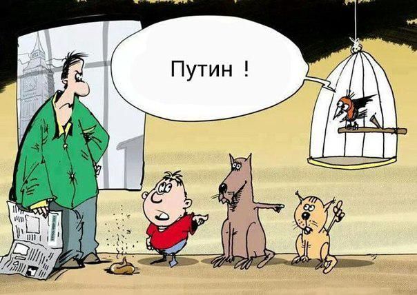 Фотки и картинки: юморные и красивые, забавные и милые 09.10.20