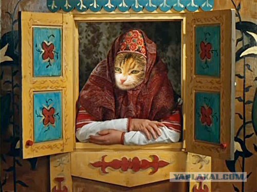 Фотожаба "Кот-коммерсант"