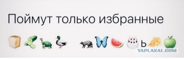 Бредзона 06.11.2020