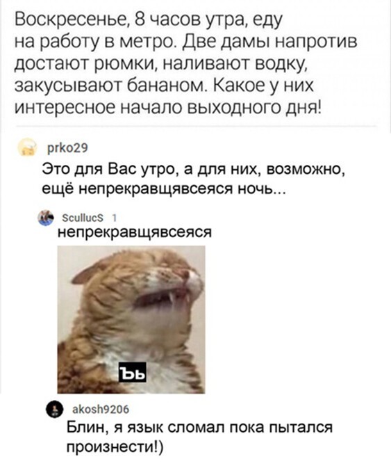Немного картинок для настроения 14.11.20