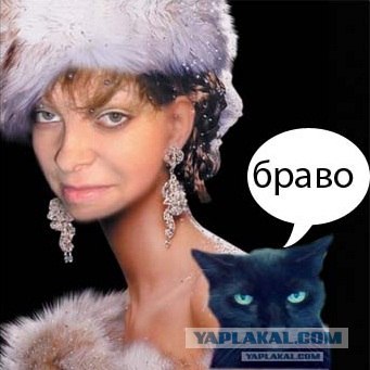 Не жабить!