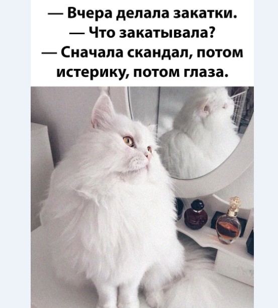 Картинки и мемы для настроения 011