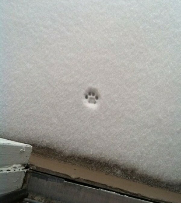 Снежные чудеса, которые редко увидишь