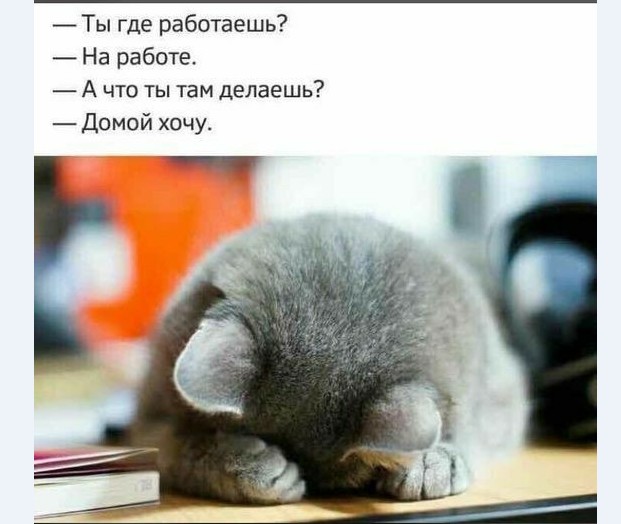 15075627.jpg
