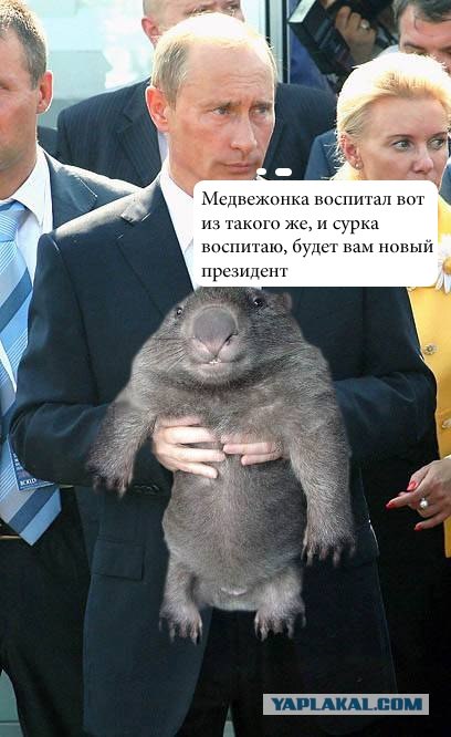 Фотожаба: Путин и зверь