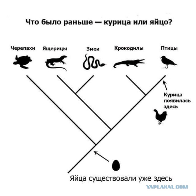 Алло, Аллочка, тут полная бесовщина и деградация!