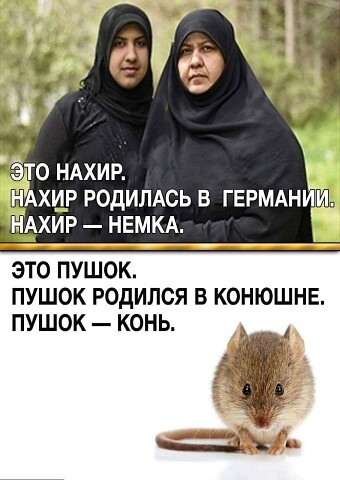 За прогрессивное будущее без религиозного мракобесия