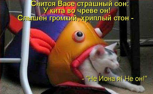 Питон сожрал кота