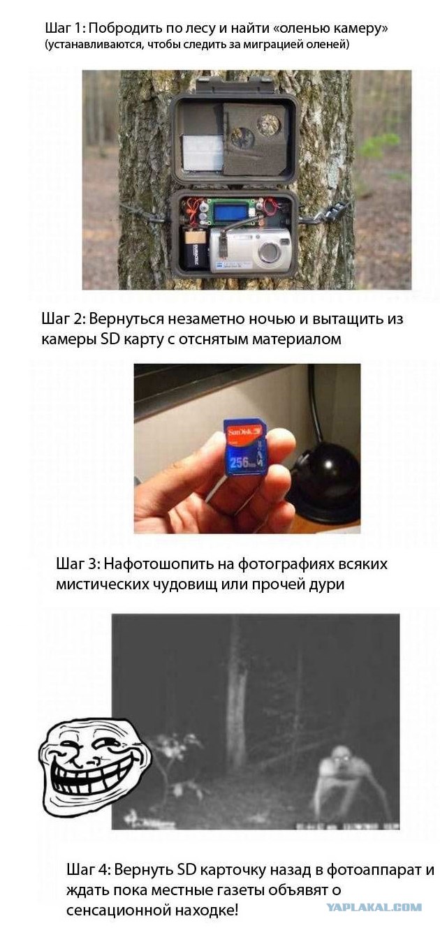 В лесу Пенсильвании засняли пришельца?