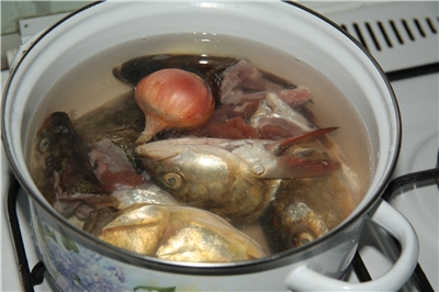 Все из рыбы!