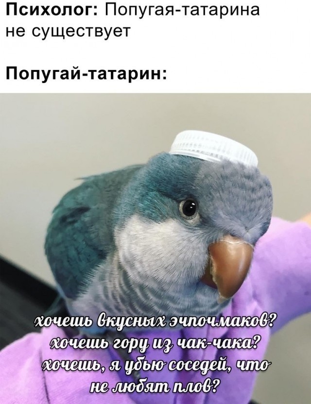 Палитра разума
