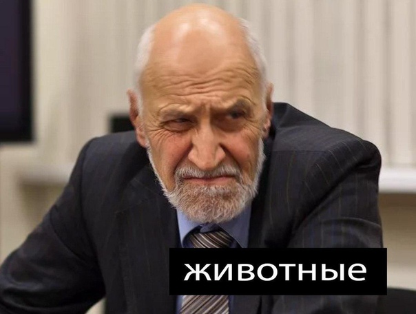 Дроздов давайте не будем им мешать мем Дагестанская свадьба - ЯПлакалъ