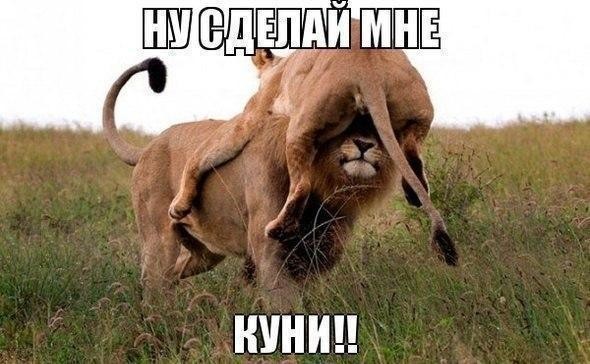 Так себе картинки 13.11.21