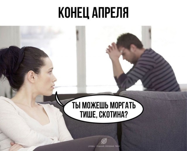 Всяческие картинки 17.11.2021