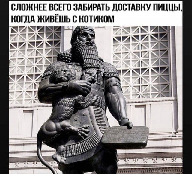 "Купил коту игрушку" и другие картинки