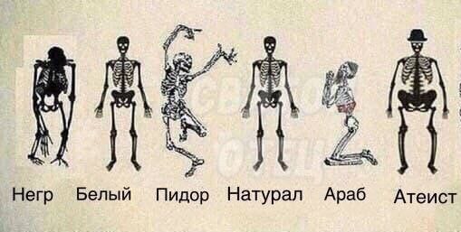 Аморальная деградация