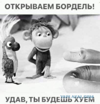 Чёрный четверг для деградантов