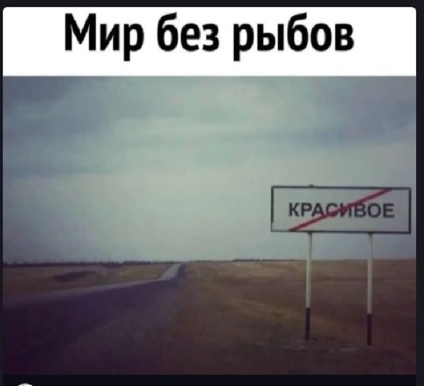 Картинки с надписями и всякие жизненные фразы