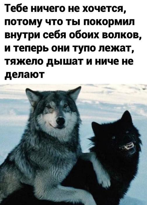 40 картинок разных 03.02.2022