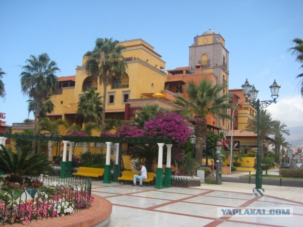 Канары, Тенерифе