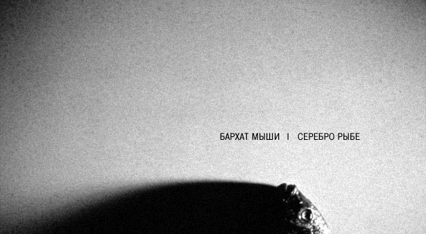 Креативные фотографии